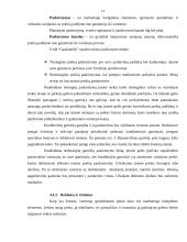 Verslo planas: konditerijos gaminiai UAB "Gardumėlis" 9 puslapis