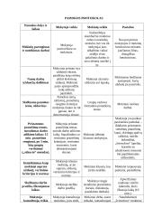 Ugdomoji pamokos analizė - lietuvių kalba 2 puslapis