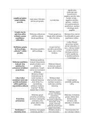 Ugdomoji pamokos analizė - lietuvių kalba 3 puslapis