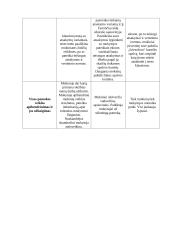 Ugdomoji pamokos analizė - lietuvių kalba 4 puslapis