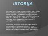 Aprangos tinklas: privalumai, trūkumai, marketingas 2 puslapis