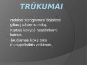Aprangos tinklas: privalumai, trūkumai, marketingas 13 puslapis