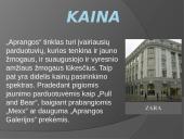 Aprangos tinklas: privalumai, trūkumai, marketingas 6 puslapis