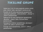 Aprangos tinklas: privalumai, trūkumai, marketingas 7 puslapis
