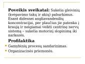 Atmosferos oro teršalai 13 puslapis