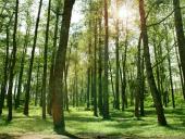 Atsinaujinantys energijos šaltiniai ir jų rūšys 15 puslapis