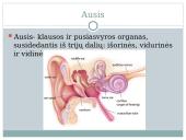 Ausies sandara. Klausos sutrikimai 2 puslapis