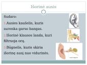 Ausies sandara. Klausos sutrikimai 3 puslapis
