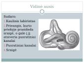 Ausies sandara. Klausos sutrikimai 5 puslapis