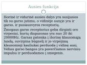 Ausies sandara. Klausos sutrikimai 6 puslapis