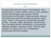 Ausies sandara. Klausos sutrikimai 8 puslapis