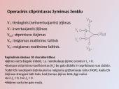 Biopotencialų stiprintuvai 12 puslapis