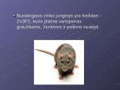 Cinko savybės 19 puslapis