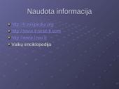 Cinko savybės 20 puslapis