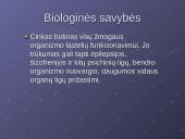 Cinko savybės 7 puslapis