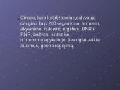 Cinko savybės 8 puslapis