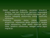 Darbo rinka Lietuvoje. Darbo rinkos problemos ir ypatumai 2 puslapis