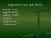 Darbo rinka Lietuvoje. Darbo rinkos problemos ir ypatumai 12 puslapis