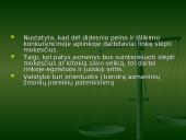 Darbo rinka Lietuvoje. Darbo rinkos problemos ir ypatumai 16 puslapis