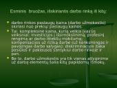 Darbo rinka Lietuvoje. Darbo rinkos problemos ir ypatumai 3 puslapis