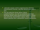 Darbo rinka Lietuvoje. Darbo rinkos problemos ir ypatumai 7 puslapis