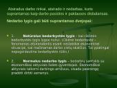 Darbo rinka Lietuvoje. Darbo rinkos problemos ir ypatumai 8 puslapis