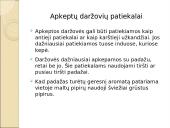 Daržovės ir jų patiekalai 12 puslapis