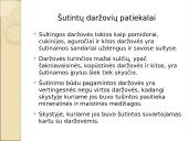 Daržovės ir jų patiekalai 16 puslapis