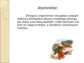 Daržovės ir jų patiekalai 4 puslapis
