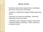 Daržovės ir jų patiekalai 7 puslapis