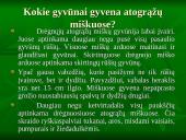 Viskas apie drėgnuosius atogrąžų miškus 11 puslapis
