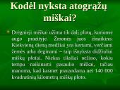 Viskas apie drėgnuosius atogrąžų miškus 13 puslapis