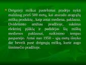 Viskas apie drėgnuosius atogrąžų miškus 14 puslapis