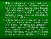 Viskas apie drėgnuosius atogrąžų miškus 16 puslapis