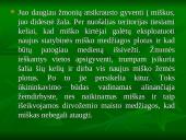 Viskas apie drėgnuosius atogrąžų miškus 17 puslapis