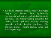 Viskas apie drėgnuosius atogrąžų miškus 18 puslapis