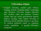 Viskas apie drėgnuosius atogrąžų miškus 19 puslapis