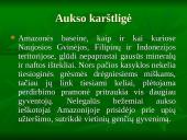 Viskas apie drėgnuosius atogrąžų miškus 20 puslapis