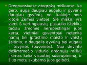 Viskas apie drėgnuosius atogrąžų miškus 4 puslapis