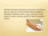 Dumblių ir pirmuonių reikšmė gamtai ir žmogui 13 puslapis