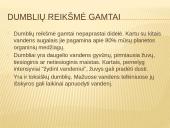 Dumblių ir pirmuonių reikšmė gamtai ir žmogui 3 puslapis