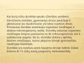 Dumblių ir pirmuonių reikšmė gamtai ir žmogui 4 puslapis