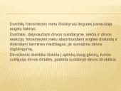 Dumblių ir pirmuonių reikšmė gamtai ir žmogui 5 puslapis