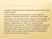 Dumblių ir pirmuonių reikšmė gamtai ir žmogui 7 puslapis
