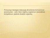 Dumblių ir pirmuonių reikšmė gamtai ir žmogui 10 puslapis