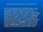 Fitopatologija. Augalų ligos 14 puslapis
