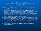 Fitopatologija. Augalų ligos 16 puslapis