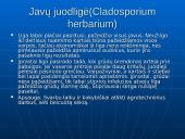 Fitopatologija. Augalų ligos 19 puslapis
