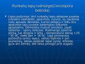 Fitopatologija. Augalų ligos 3 puslapis