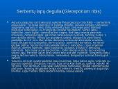 Fitopatologija. Augalų ligos 6 puslapis